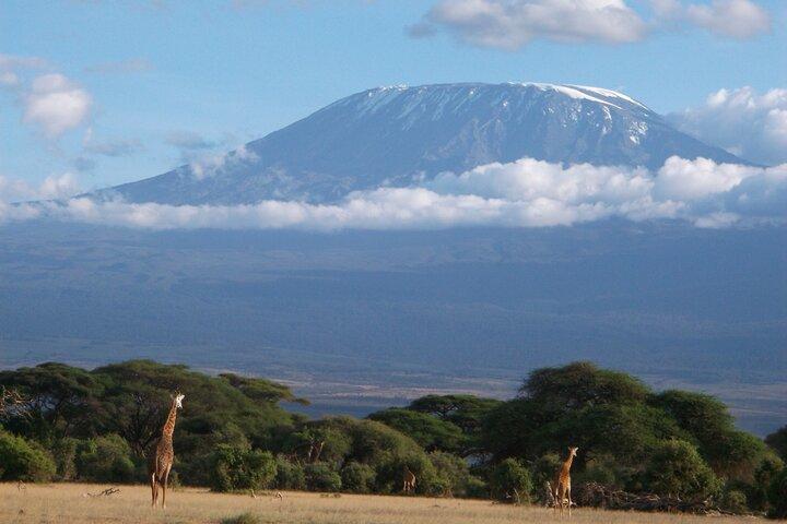 Climbing Mt. Kilimanjaro using Machame Route