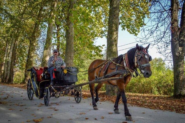Private Horse-Drawn Carriage Ride to Vrelo Bosne