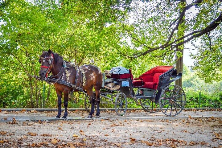 Private Horse-Drawn Carriage Ride to Vrelo Bosne