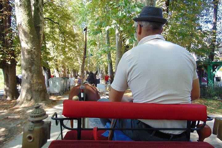 Private Horse-Drawn Carriage Ride to Vrelo Bosne