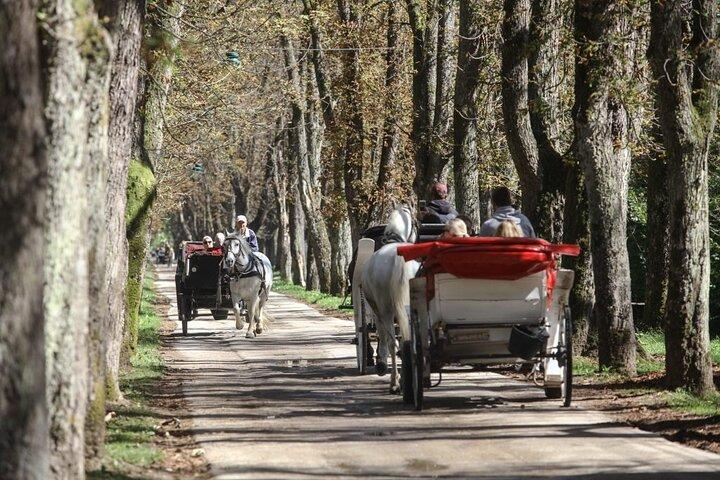 Private Horse-Drawn Carriage Ride to Vrelo Bosne
