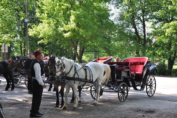 Private Horse-Drawn Carriage Ride to Vrelo Bosne