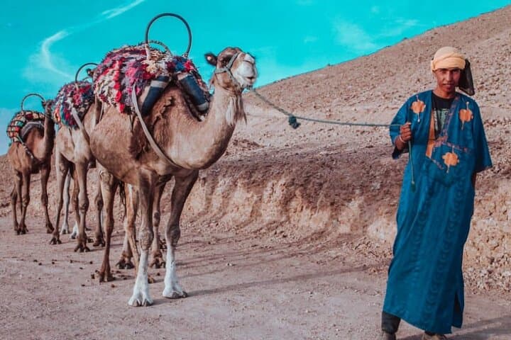 Agafay camel ride