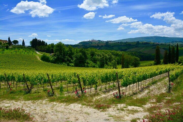 Private Tuscany Day Tour: San Gimignano and Chianti Wine Region from Florence