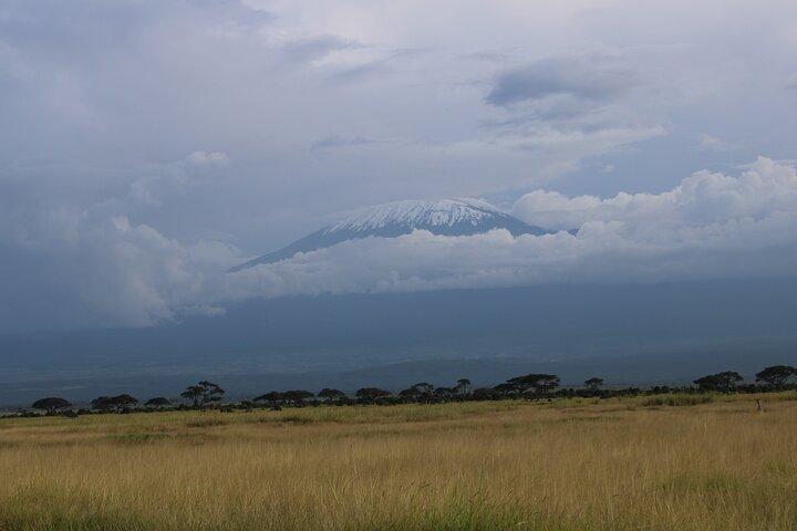 2-Day Private Safari to Amboseli National Park