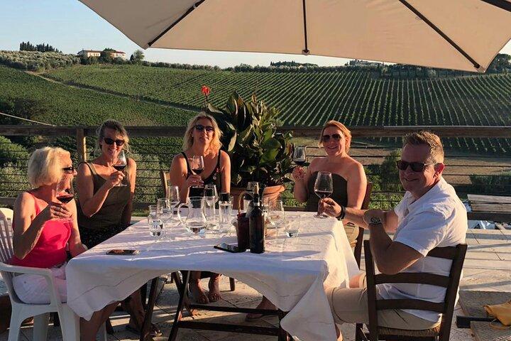 Biodynamic Wine Tasting with Producer in Vinci