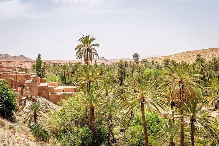 "Figuig The Lost Oasis | Private & Luxury