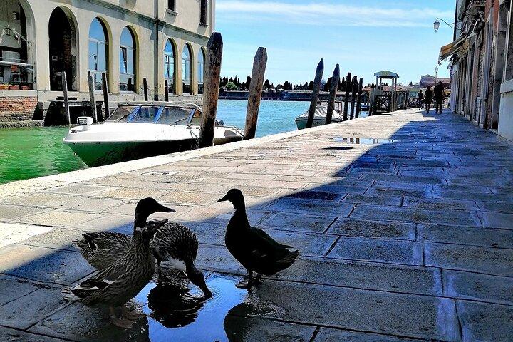 Venice Lagoon Islands Tour to Mazzorbo Burano and Murano