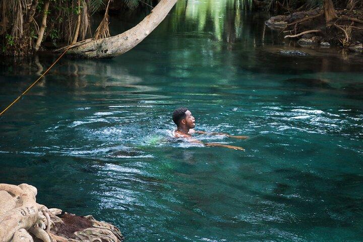 MATERUNI waterfalls, coffe tour & kikuletwa hotsprings