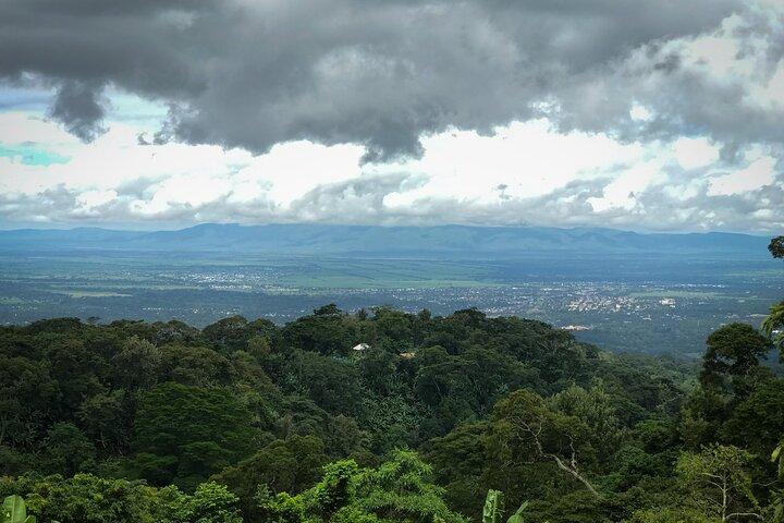 MATERUNI waterfalls, coffe tour & kikuletwa hotsprings