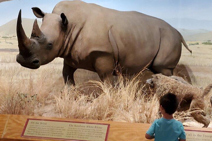 Las Vegas Natural History Museum Admission Ticket