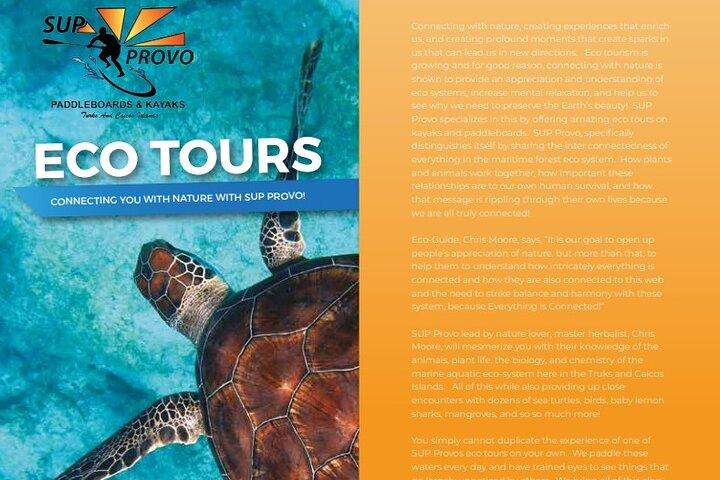 Turtle Eco Tour on Stand-Up Paddleboards or Kayaks into the National Marine Park