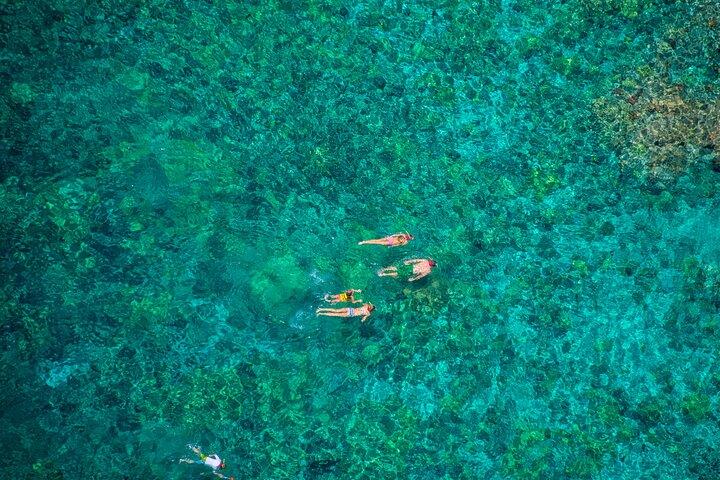 Kona’s Best Morning Snorkel: Captain Cook & Kealakekua Bay