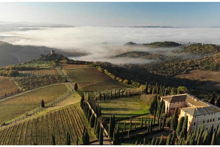 Luxury Brunello Tour