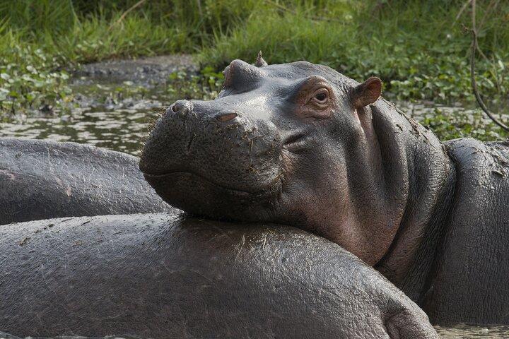 8 Days Luxury Serena Safari