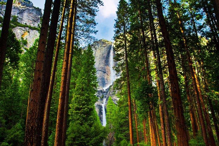 Yosemite Valley Private Hiking Tour