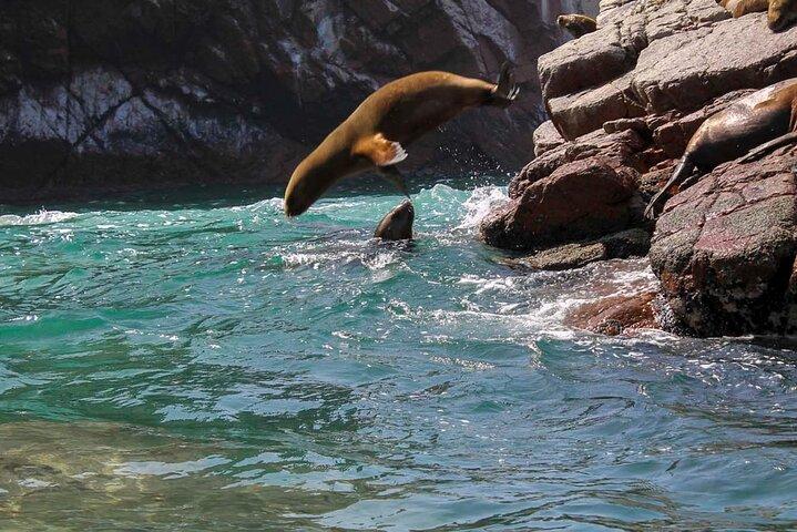 Ballestas Islands & National Reserve of Paracas from Ica