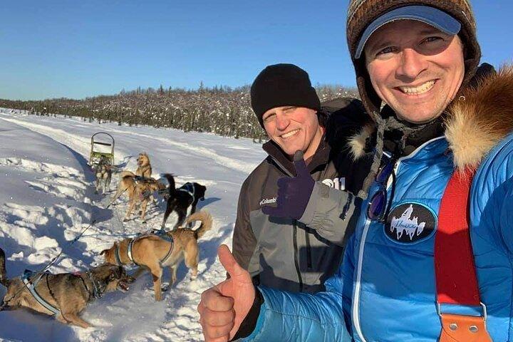 Dog Sledding Adventure in Willow, Alaska