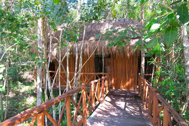Full-Day Tour of Tulum Ruins and Cenotes with Lunch