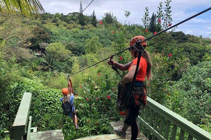 Maui Zipline Eco Adventure: 8 Lines through the Jungle
