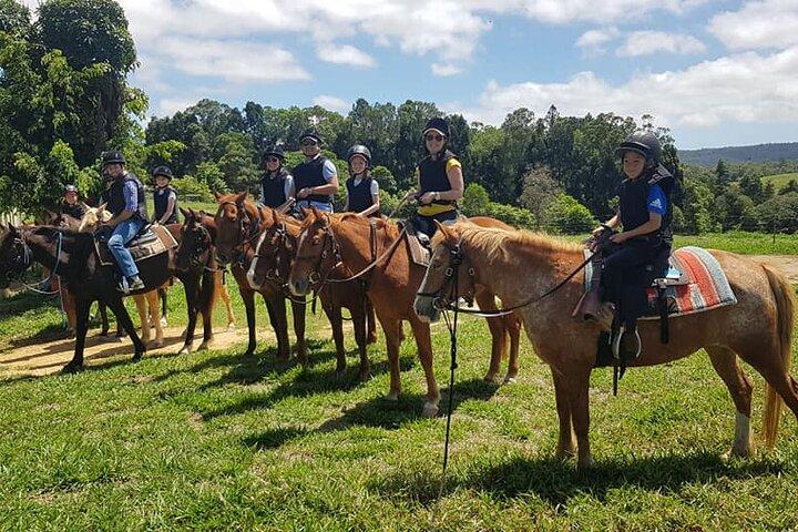 Horse and Quad bike tour with a visit to a Petting Zoo