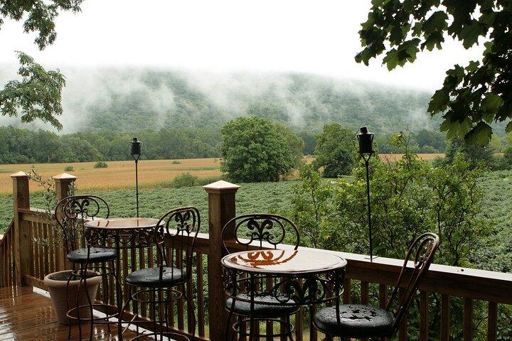 Canandaigua Wine Trail Experience