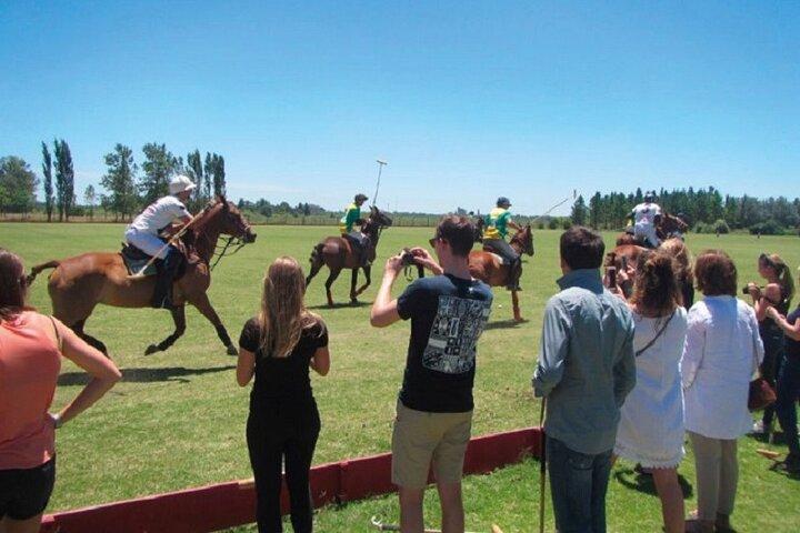 Polo Match, BBQ and Lesson Day-Trip from Buenos Aires