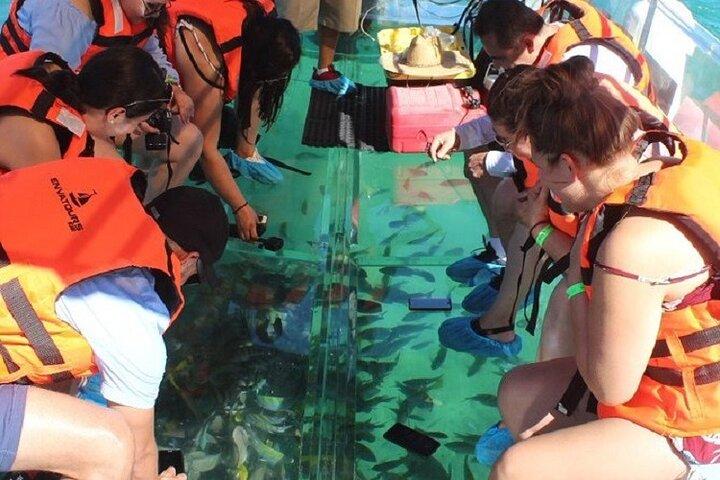 Cabo's Original Clear Boat Tour: See the Arch and Land's End