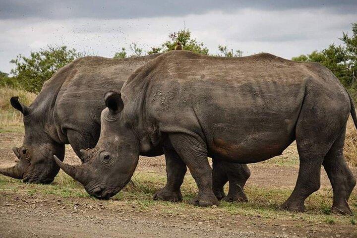 6 Days Safari Wildlife and Culture Tour