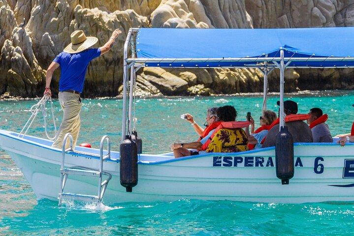 Whale Watching in Cabo San Lucas: Sightseeing Cruise and Shopping
