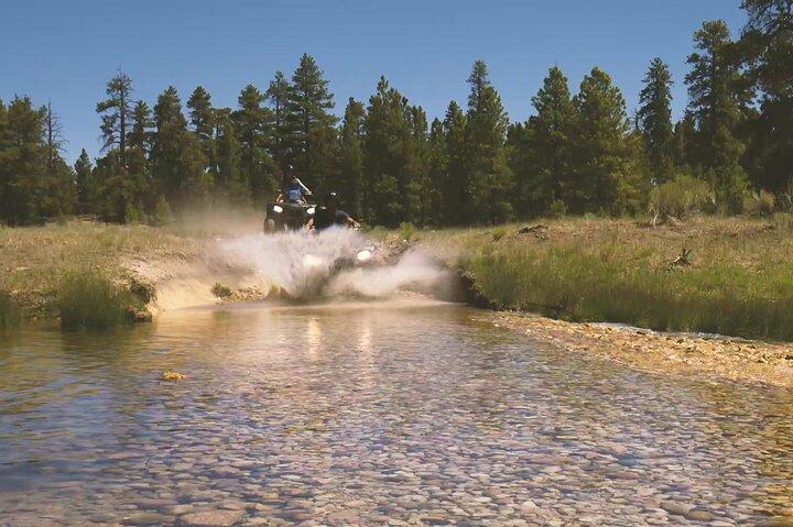 One Hour Guided ATV Ride in Utah