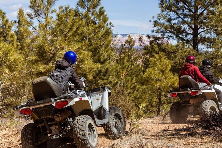 One Hour Guided ATV Ride in Utah