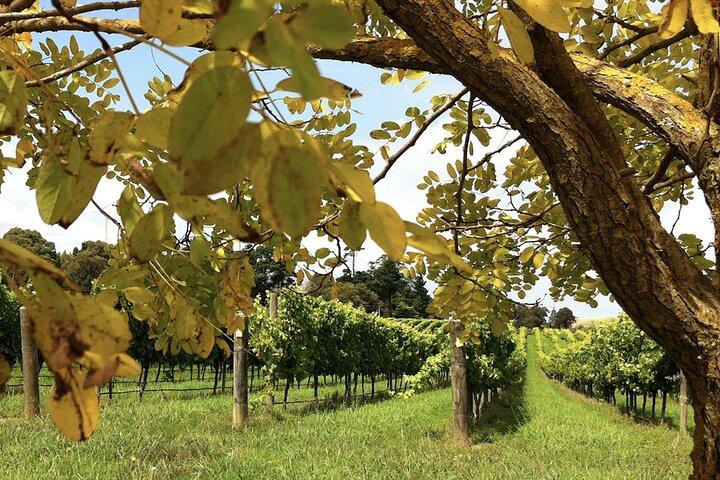 Southern Highlands Private Tour with Wine, Waterfall and Garden