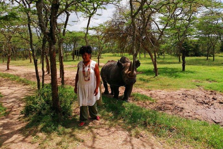 Day safari to Olpejeta Rhino conservancy