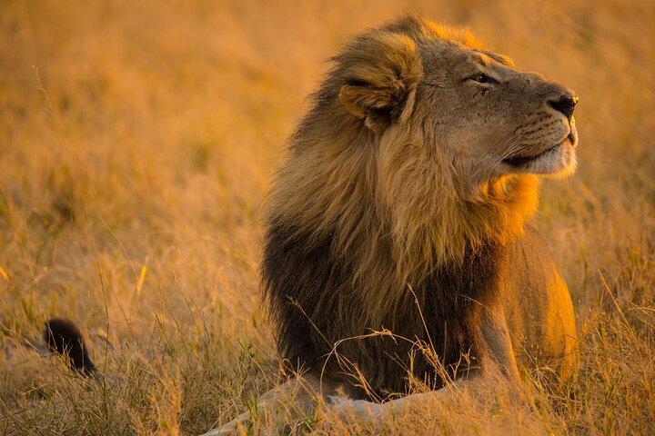 A Day Trip Safari To Lake Manyara National Park