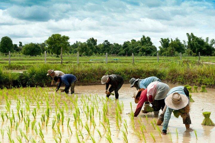 Village Life Tour from Siem Reap