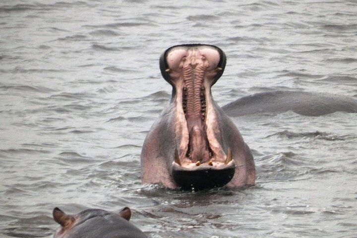 5 day safari Tarangire Serengeti and Ngorongoro crater