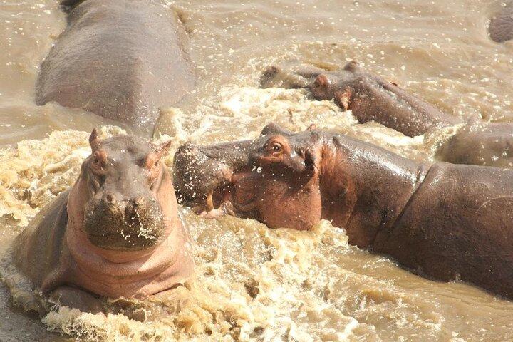 4 Day Serengeti and Ngorongoro crater