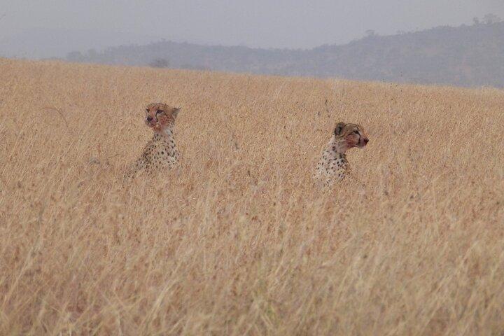 3-day safari to Serengeti National Park