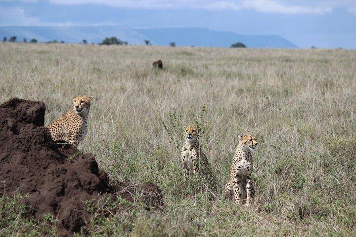 4 Day Serengeti and Ngorongoro crater