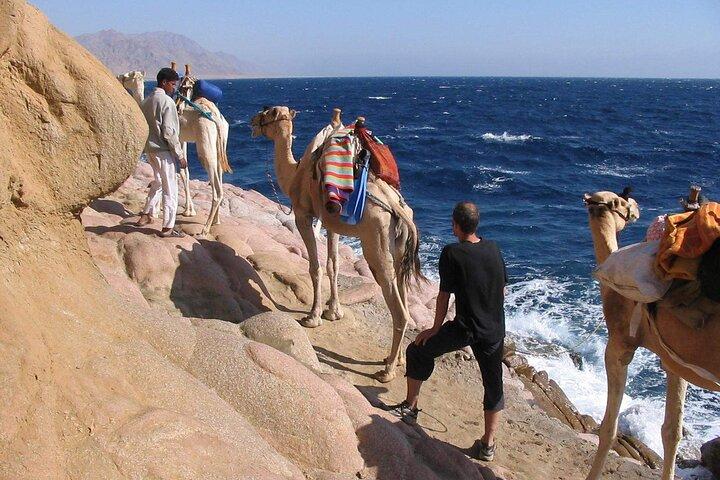 Quad safari in the canyon, snorkeling at the Blue Hole and a visit to Dahab