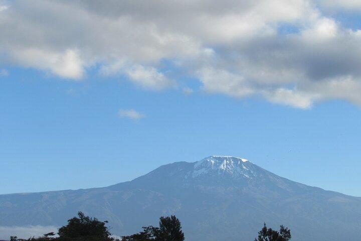 Kilimanjaro Airport Transfer to Moshi