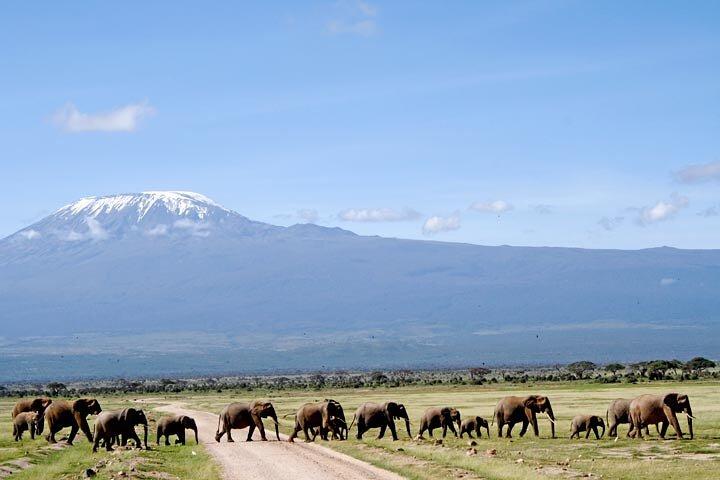 Kilimanjaro Airport Transfer to Moshi