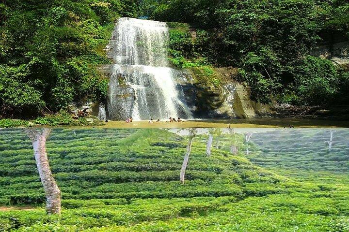 Professional tour guide hire in Sreemangal