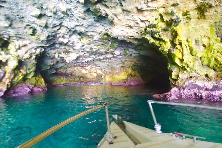 POLIGNANO BY BOAT: amazing sea caves and free drinks!