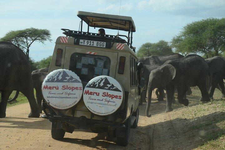 6 Days Tanzania join group Budget Camping Safari