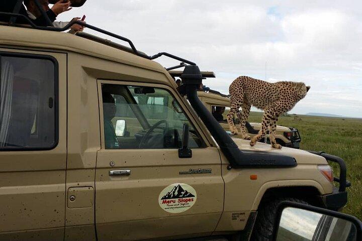 6 Days Tanzania join group Budget Camping Safari