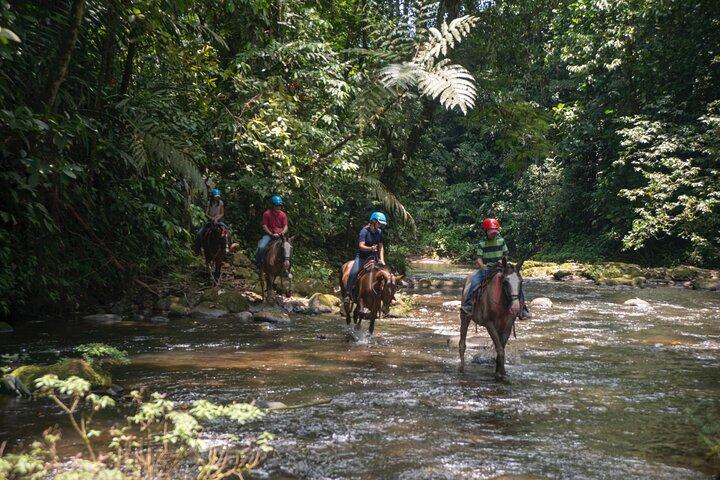 Sarapiqui Forest Horseback Riding Experience in Costa Rica