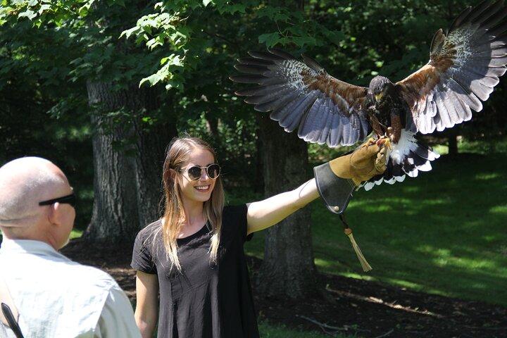 Colorado Springs Hands-On Falconry Class and Demonstration