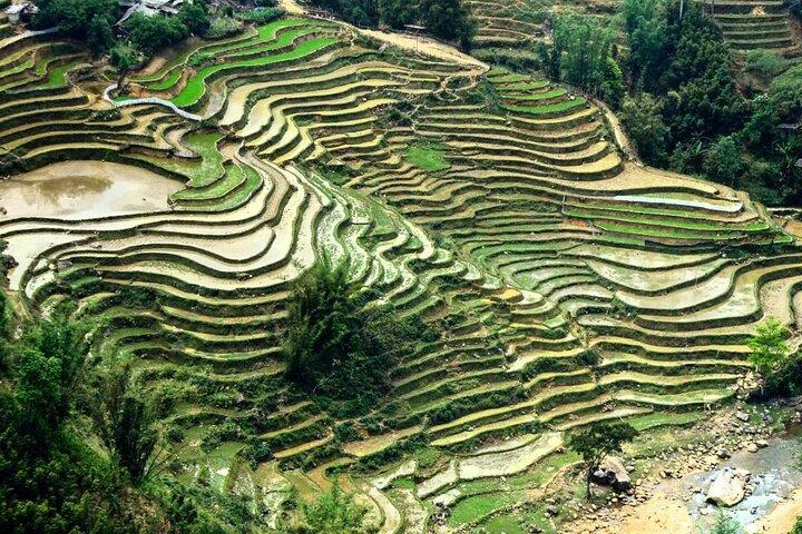Sapa Trekking 2Days - 1Night by Bus with Homestay